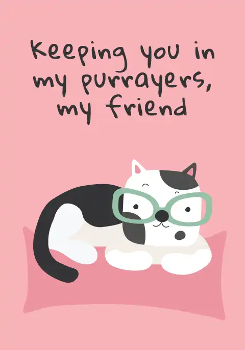 A sweet cat with a friendly expression, perfect for a casual greeting