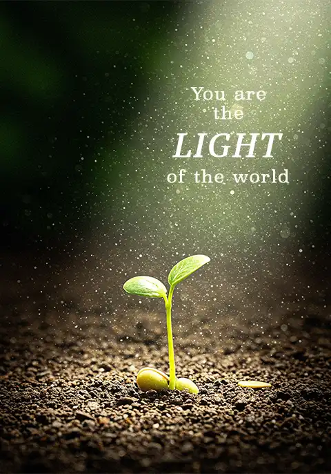 A Christian encouragement card showing a small green sprout growing towards the light.